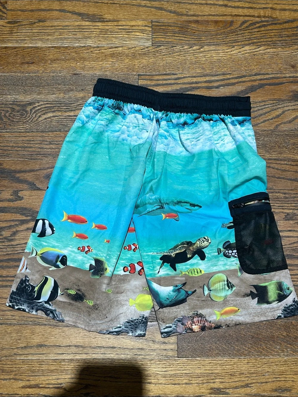 wonder nation bright aqua